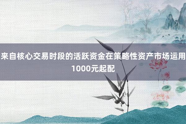 来自核心交易时段的活跃资金在策略性资产市场运用1000元起配