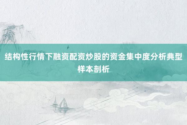 结构性行情下融资配资炒股的资金集中度分析典型样本剖析