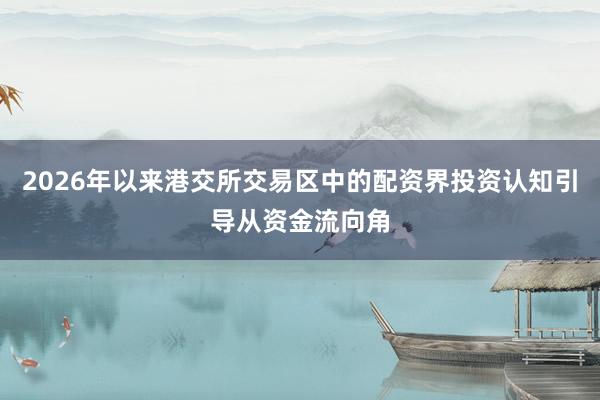 2026年以来港交所交易区中的配资界投资认知引导从资金流向角