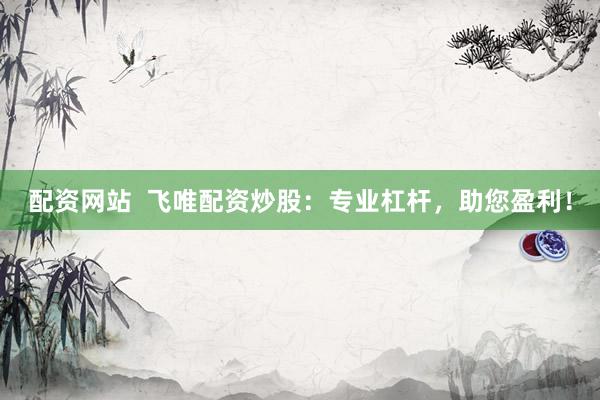 配资网站  飞唯配资炒股：专业杠杆，助您盈利！
